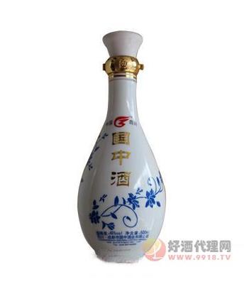 48度國(guó)中酒光瓶500ml 品味經(jīng)典與醇香的食品銷(xiāo)售新選擇